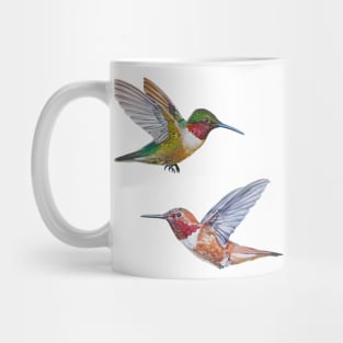 Hummingbirds set (Rufous & Ruby Throated) Mug